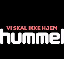 Danmark GIF by hummel
