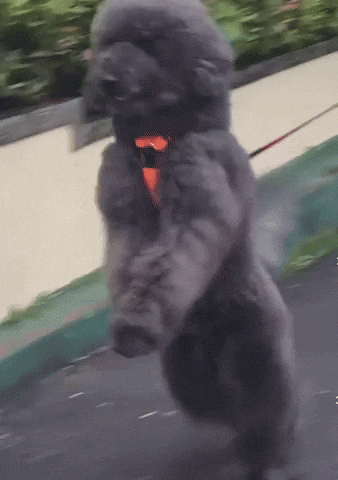 Hustle Running GIF