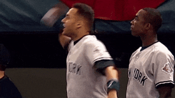 Celebrating New York GIF by YES Network