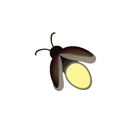 Animated Sticker