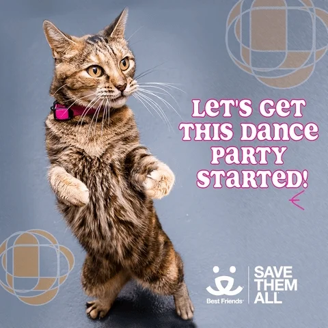 Save Them All Dance Party GIF