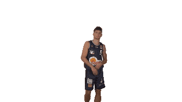 Sport Basketball Sticker by HAKRO Merlins Crailsheim