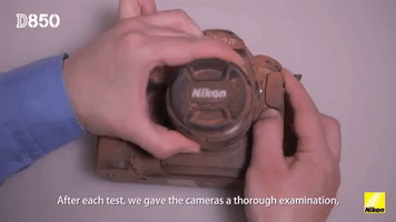 Animated GIF
