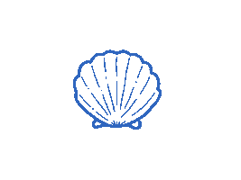 Muschel Sticker by Lisawebdesign