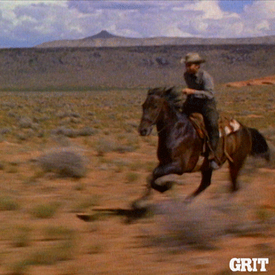 audie murphy horse GIF by GritTV