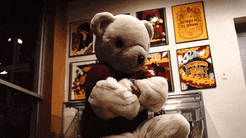 Dctid Party Bear GIF by Detroit City FC