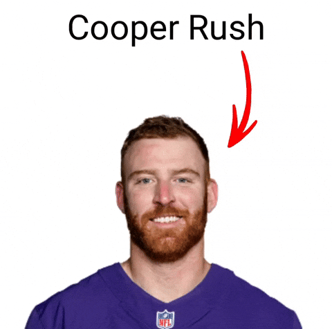 Baltimore Ravens GIF