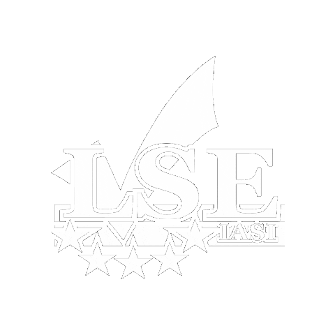 Liga Studenților Economiști Iași Sticker