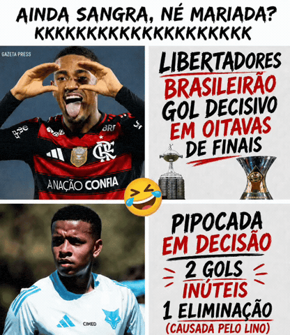 Cruzeiro Futebol Brasileiro GIF