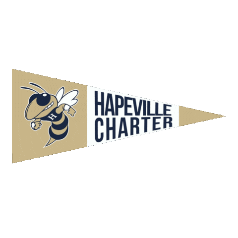 High School Football Sticker by GPB Sports