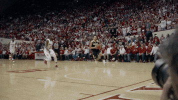 Playing Indiana Hoosiers GIF by Purdue Sports