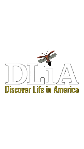 Discover Life in America Sticker