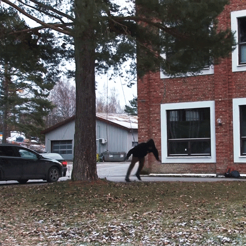 Kim Mission Impact GIF by Differ Media AS