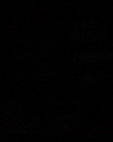 Israel Jew GIF