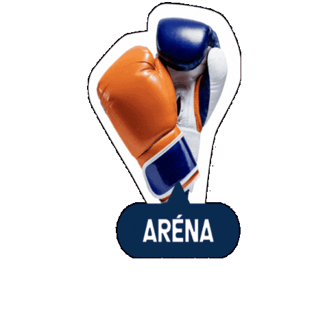 Arena Sticker by 5penazi_nbs