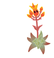 Dudleya Cymosa Ssp Marcescens Sticker by California Native Plant Society