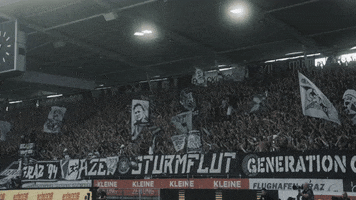 Happy Football GIF by SK Sturm Graz