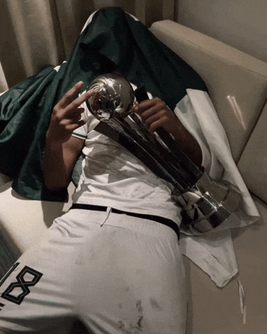 Pakistan Football GIF