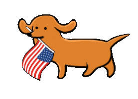Voting American Flag Sticker by Stefanie Shank
