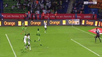 mosalatif  GIF