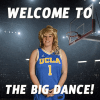 Bruin-bound GIFs - Get the best GIF on GIPHY