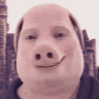 RespectiveCollective-john-pork-johnpork-braintrot-xnQU5pDVvRFQsiQgm1