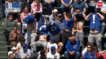 Chicago Cubs GIF by Marquee Sports Network