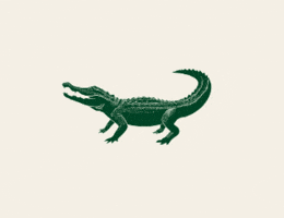 Gator GIF by Brzzy