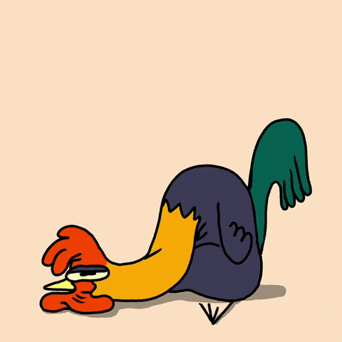 Cartoon gif. A colorful rooster is slumped on the ground in a sitting position when it suddenly snaps upright, eyes wide. This rooster is late for his morning call!