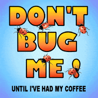 Dont Talk To Me Coffee Time GIF