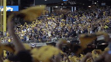 Fans Cheering GIF by MLB