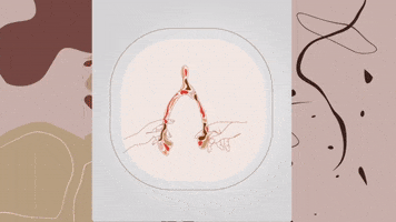 ladeees GIF