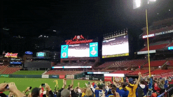 St Louis Blues GIF by Storyful