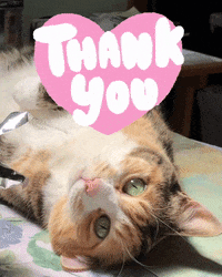 Thank U GIF by Best Friends Animal Society - Find & Share on GIPHY