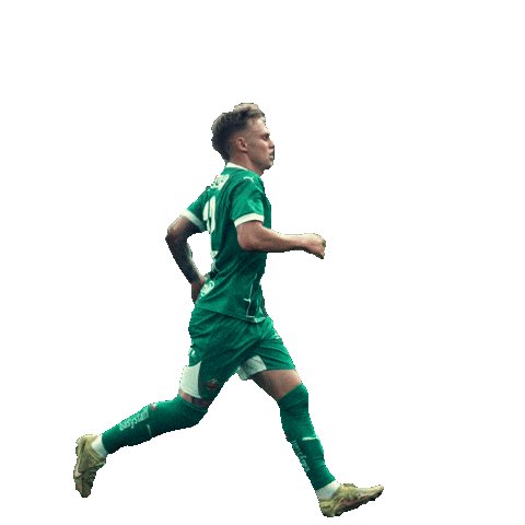 Rapid Wien Celebration Sticker by SK Rapid