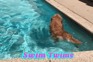 Best Friend Swimming GIF by NOSAM