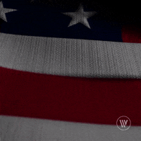 Labor Day GIF by Wireless Vision