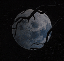 Full Moon Film GIF by hoppip