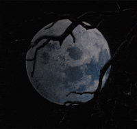 Full Moon Sticker by KT for iOS & Android, GIPHY