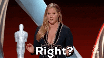 Celebrity gif. Amy Schumer stands on stage at the Oscars and holds out her hands questionably as she looks around. Text, "Right?"