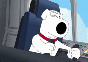 Dog GIF