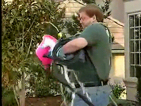 Home Video Infomercial GIF - Find & Share on GIPHY