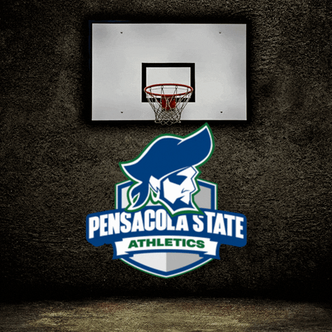 Sport Basketball GIF by PensacolaStateCollege