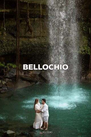 bellochio fotografi GIF