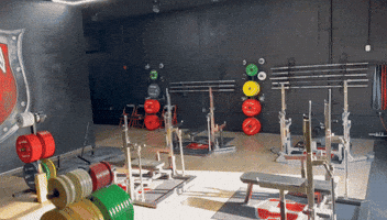 Powerlifting GIF by Tysonsplayground