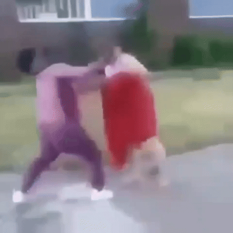 Fight GIF