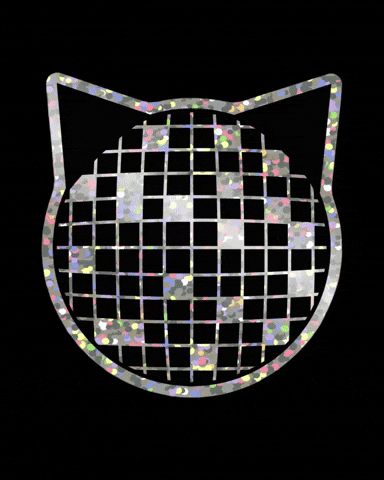 Black Cat Disco Ball GIF