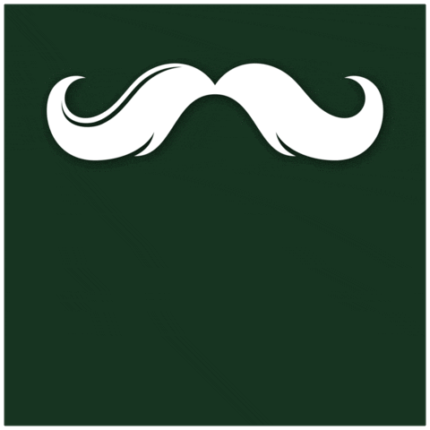 Stefanoferla GIF by Team Marty Waite