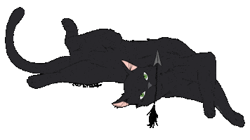 Animated Sticker