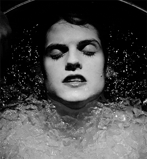 Isaaclahey GIFs Find & Share on GIPHY